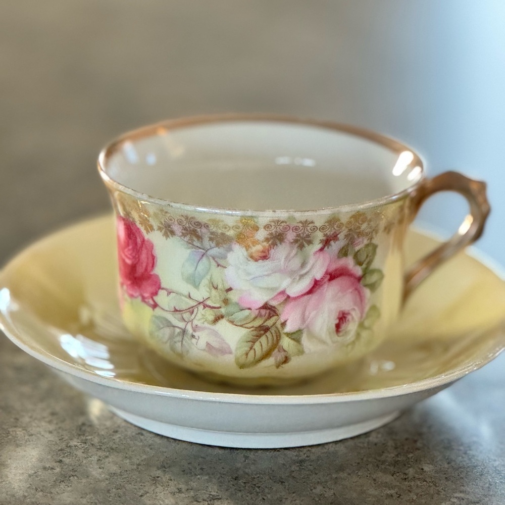 Vintage Bavaria Floral Teacup and Saucer Set